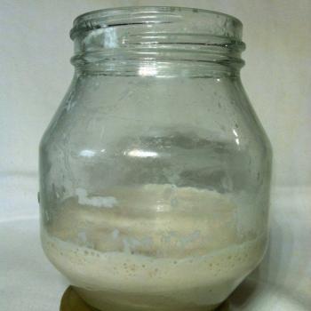 Bob (Sponge) recipe