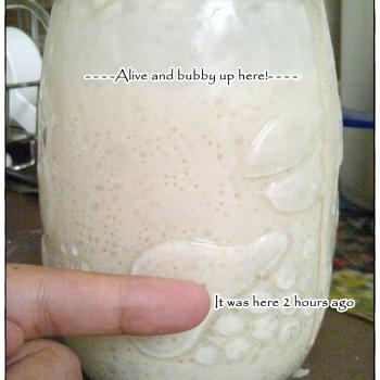 Bonnie recipe