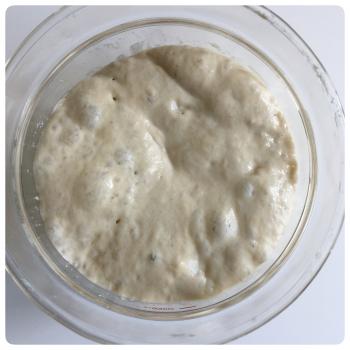 Borneo Starter jar shot