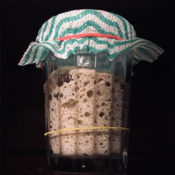 Brahma recipe