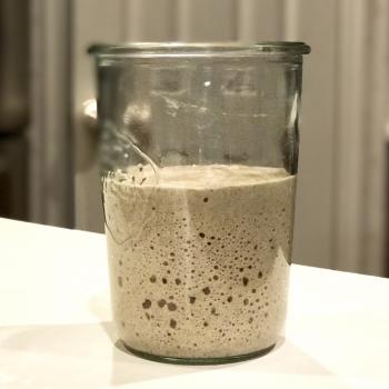 Buddy recipe