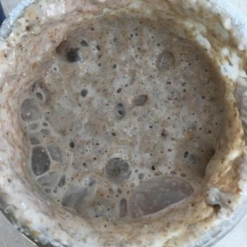 Burbujitas jar shot