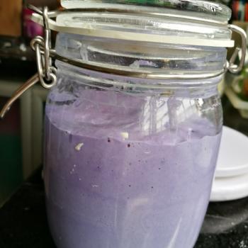 Butterfly Pea recipe