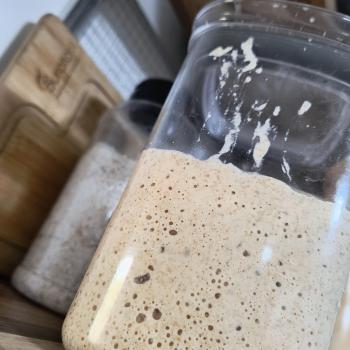 CANTÍDIA recipe