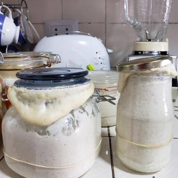 Rigoberta recipe