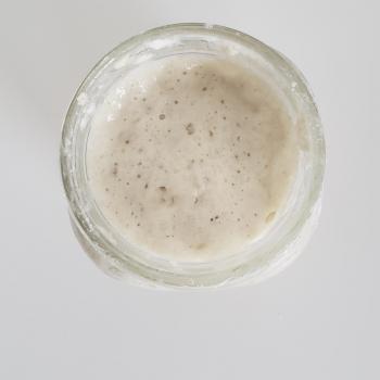 cayetana jar shot