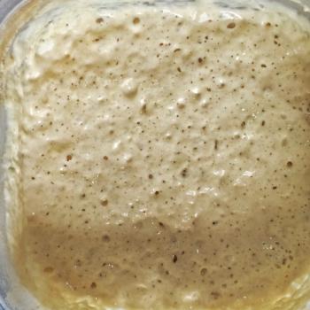 Ceres recipe