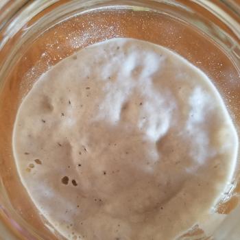 Champa jar shot