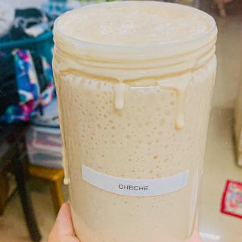 Cheche recipe