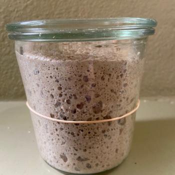 Donna recipe