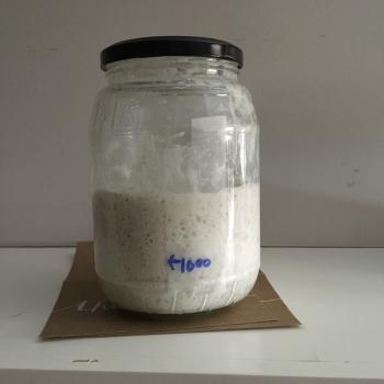 DoughOne recipe