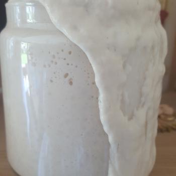 Droške recipe