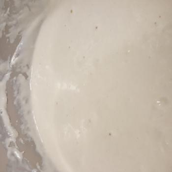 Eastern Sierra Sourdough jar shot