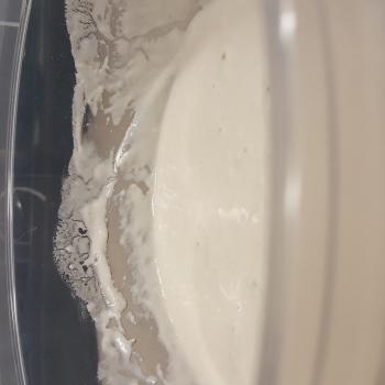 Eastern Sierra Sourdough recipe