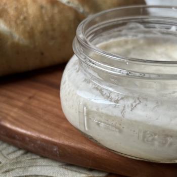 Elderflower  Sourdough recipe