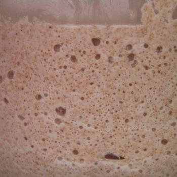 Elena recipe