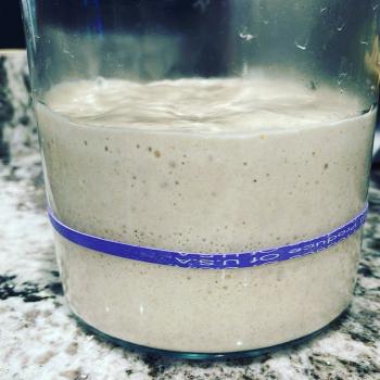 ElsieDart recipe