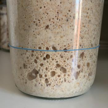 Enrico recipe