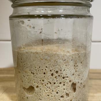 Espelta-integral-2 recipe