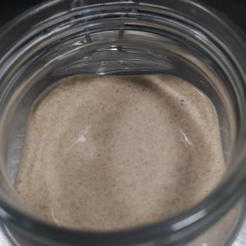 Farro sourdoughstarter front shot