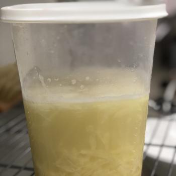 Garibaldi jar shot