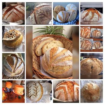 Genesis recipe