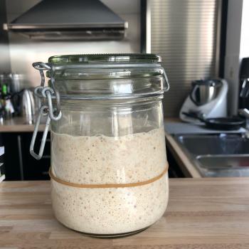 Gusta recipe