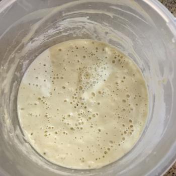 Halima jar shot