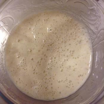 Hildegard  jar shot