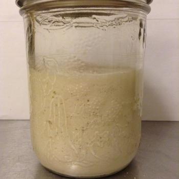 Hildegard  recipe