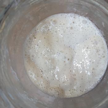 Honey Bunny jar shot