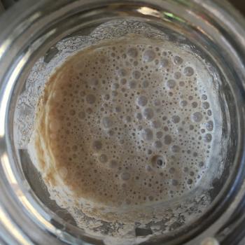 Horacio jar shot