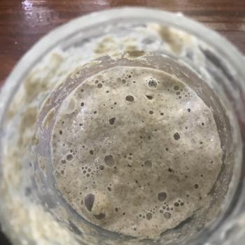 Integra de Cuarentena  jar shot