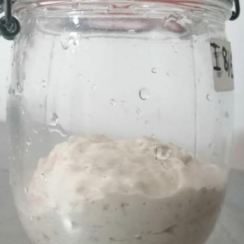 isabella recipe