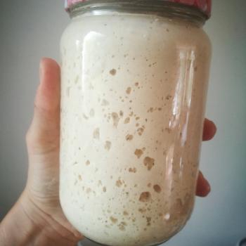 Jan II recipe