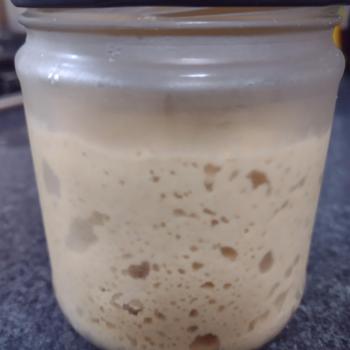 Jora de Jucat recipe