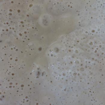JZB-1-TB recipe