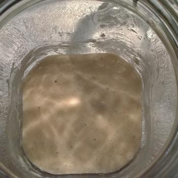 Katerina's Prozymaki top shot
