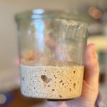 Kip recipe