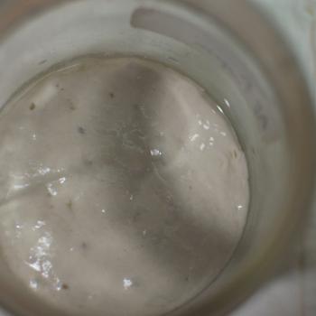 Lake Tawakoni White jar shot