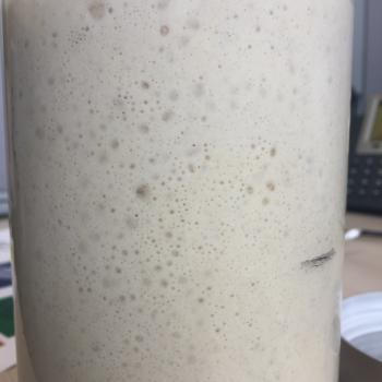 LE PETIT LOUIS recipe