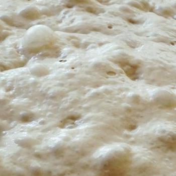 Basic Levain recipe