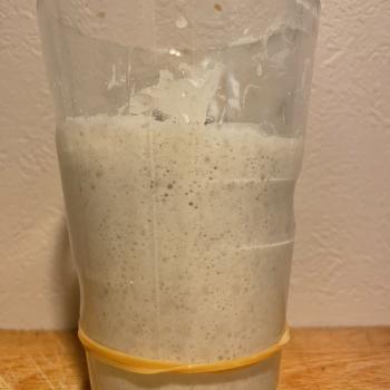 Lewaindowski recipe