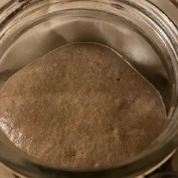 Lluc (centeno/trigo)  jar shot