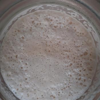 Maianas jar shot
