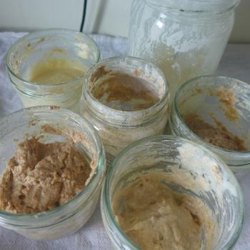 manna sourdough jar shot