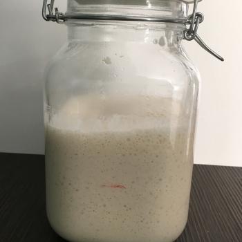 Marco's Milky recipe