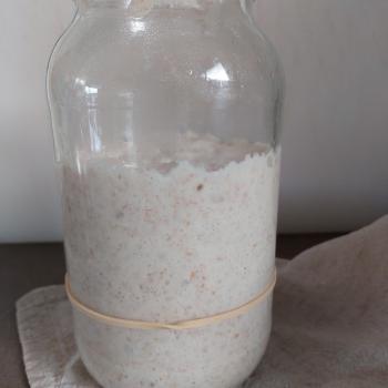 Marion recipe