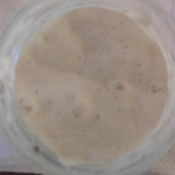 Marta jar shot