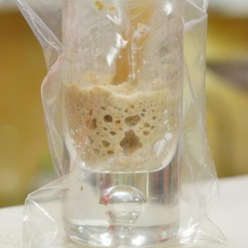 Micro volume 100% wheat by Piotr Polomski recipe